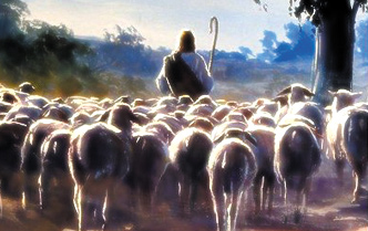 el cayado del pastor estudios